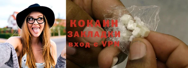 шишки Верея