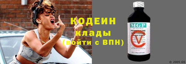 шишки Верея