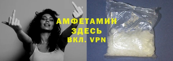 шишки Верея