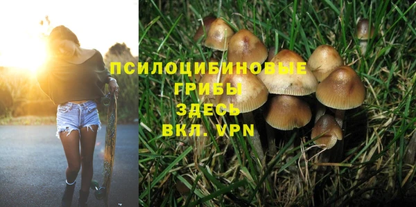 шишки Верея