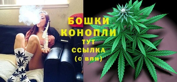 шишки Верея