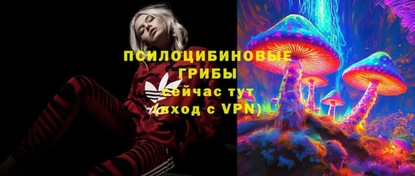 мдма Бородино